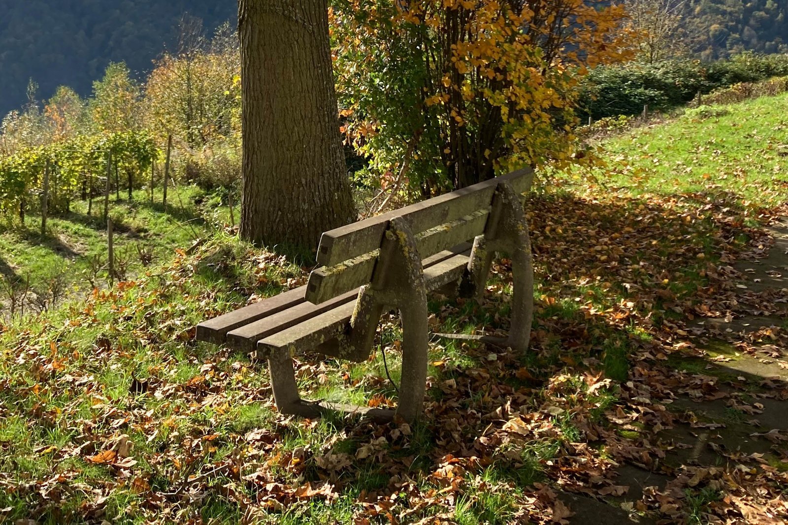 Bank Campus Gesundheitszentrum Mittelmosel