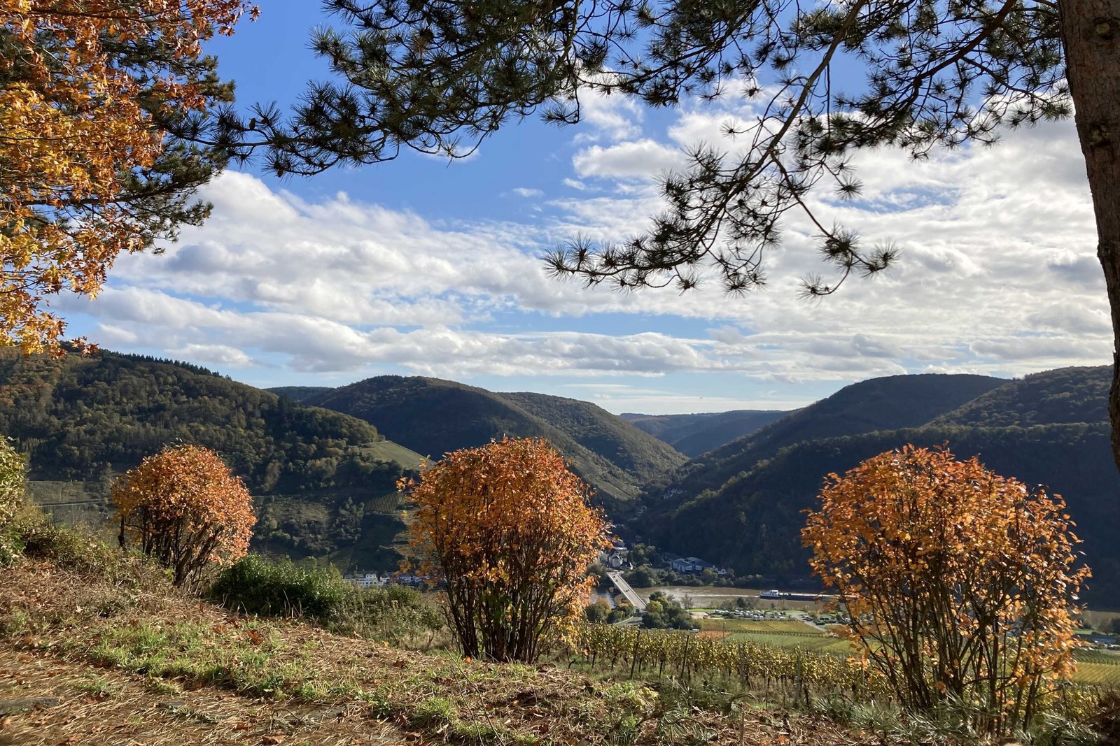 Blick vom Hospiz St. Josef Mittelmosel aus auf das Moseltal mit seinen sanften Hügeln